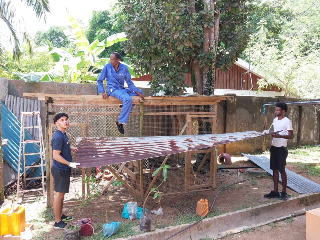 SIAH assisted in repairing the chicken cage and nursery at Anse Royale Primary School